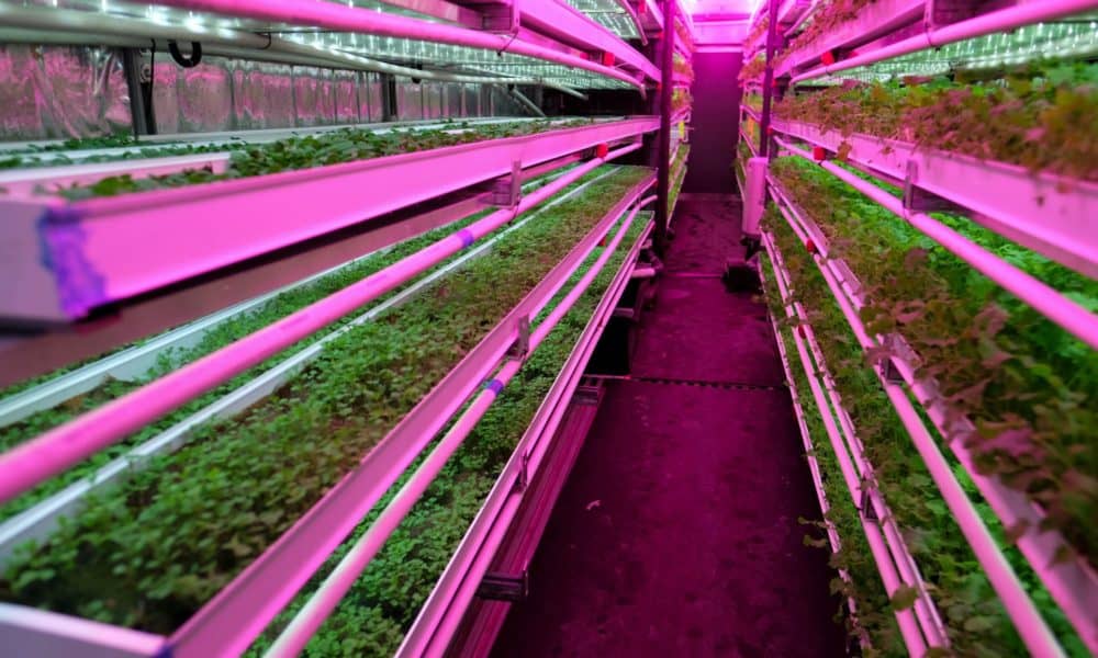 This Shipping Container Farm Can Grow 5 Acres Of Food With 97% Less Water
