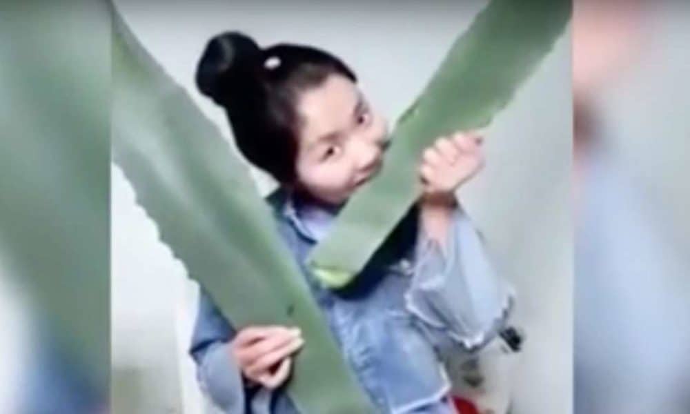Blogger Trying To Prove Benefits Of Aloe Vera Ends Up Poisoning Herself On Camera