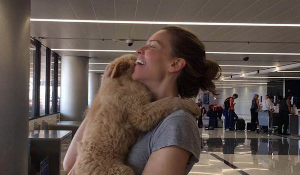 Hillary Swank Surprises All By Fostering Puppies Left At Animal Shelter