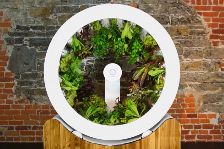 Rotating Indoor Garden Grows 100 Herbs Or Veggies Every Single Month