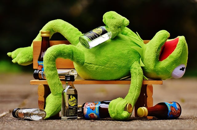 https://pixabay.com/en/kermit-frog-drink-alcohol-drunk-1651325/