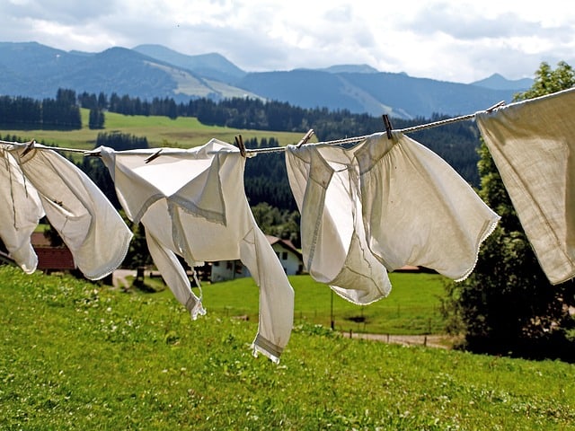 https://pixabay.com/en/laundry-dry-dry-laundry-hang-963150/
