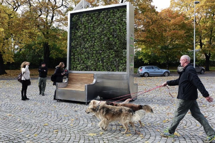 This Single “Tree” Can Absorb As Much Air Pollution As An Entire Forest