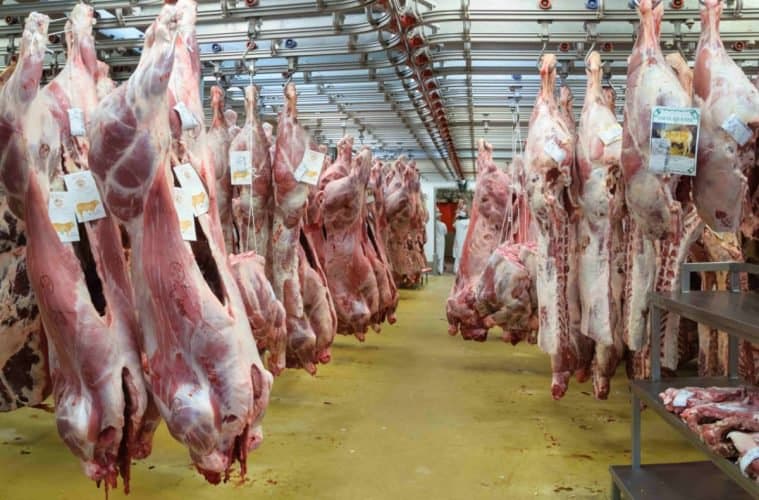 All Slaughterhouses In England To Now Have Mandatory Cameras