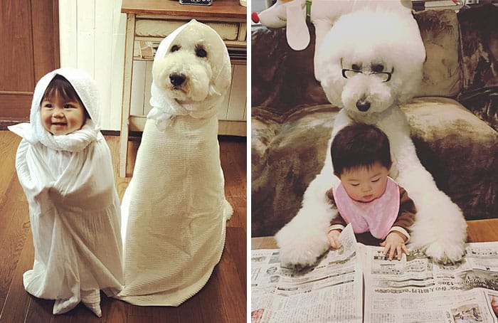 Little Japanese Girl And Her Best Friend Poodle Will Brighten Your Day