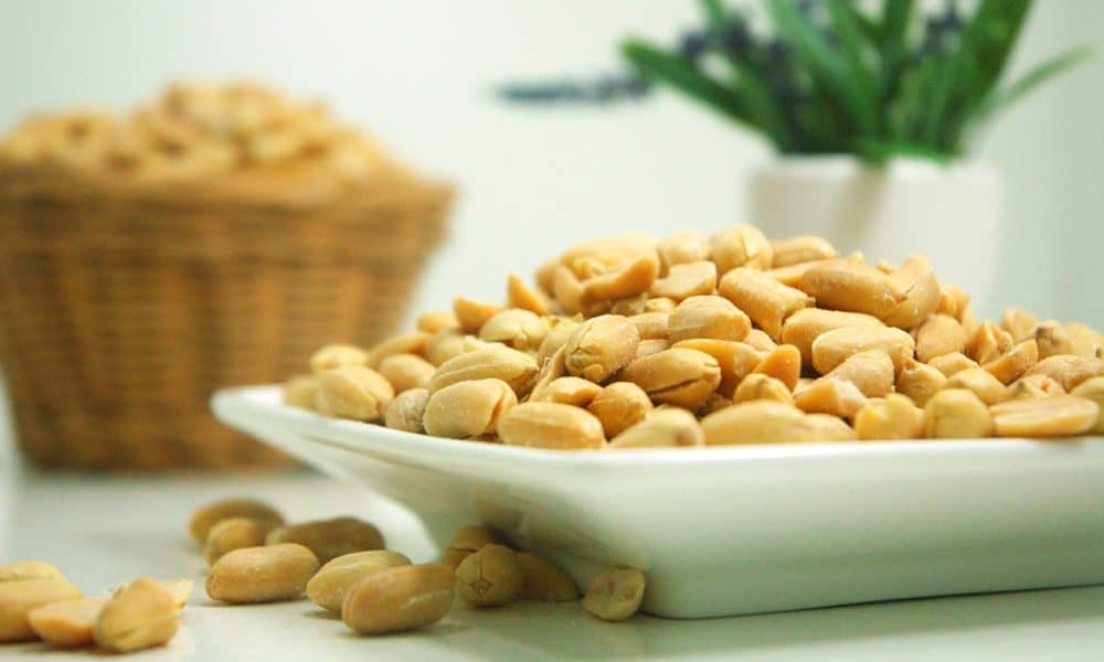 New Study Shows Probiotic Therapy Successfully Controls Peanut Allergy