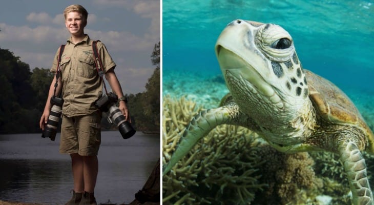 Steve Irwin’s Son Is An Award-Winning Photographer, And These Are Some Of His Best Shots