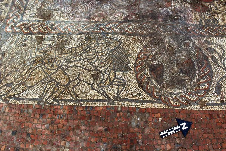 Amateur Archaeologists Uncover Huge Ancient Mosaic