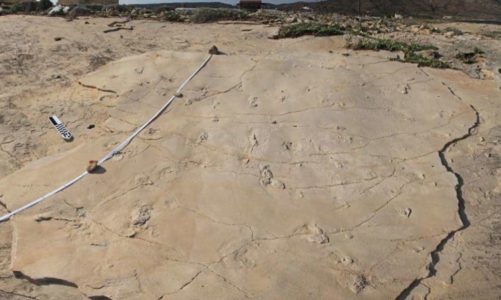 5.7 Million-Year-Old Hominin Footprints Challenge Human Evolutionary Timeline