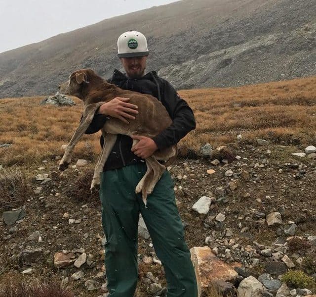 After 6 Weeks Trapped On Icy Mountain, Dog Rescued And Returned To Owners