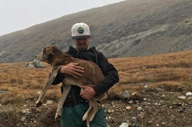 https://www.thedodo.com/close-to-home/hikers-rescue-lost-senior-dog-mountain