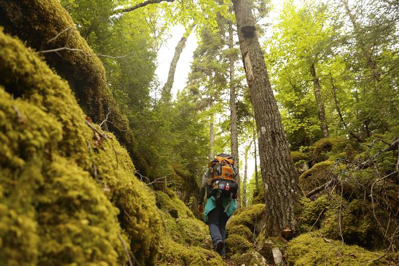 World’s Longest Hiking Trail Finally Completed In Canada