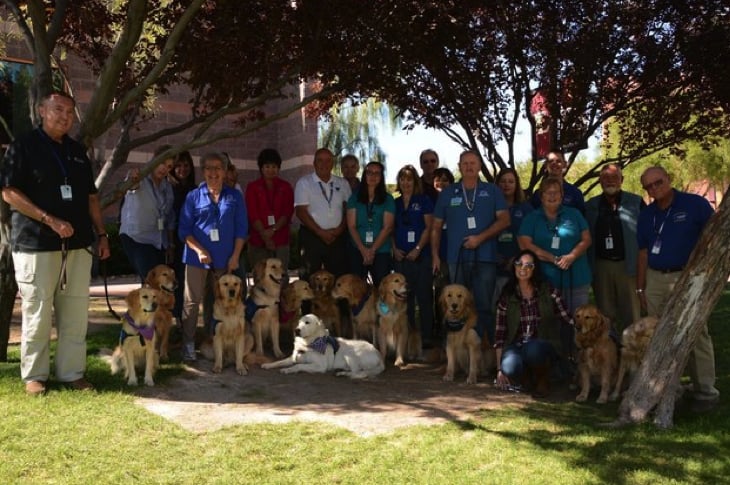 Therapy Dogs Join Las Vegas Victims To Help With Their Recovery