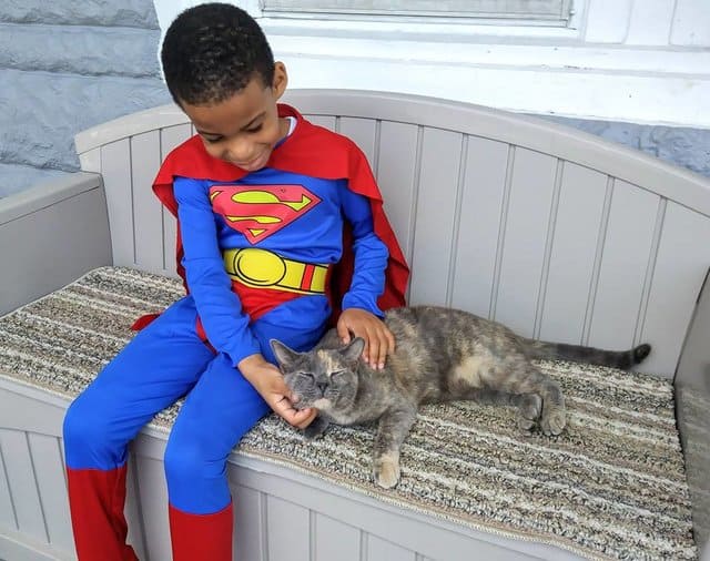 5-Year-Old Loves To Dress As A Superhero And Help Homeless Cats In Philadelphia