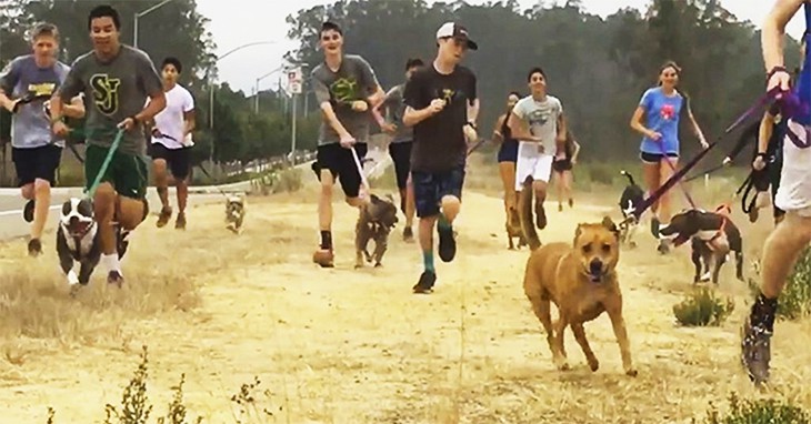 High School Track Team Runs With Homeless Dogs