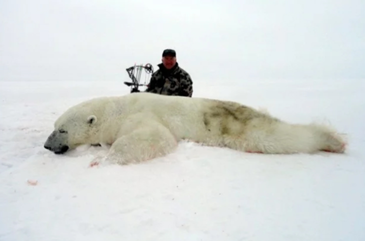 Trophy Hunters In The Arctic Pose Beside Endangered Slaughtered Polar Bears