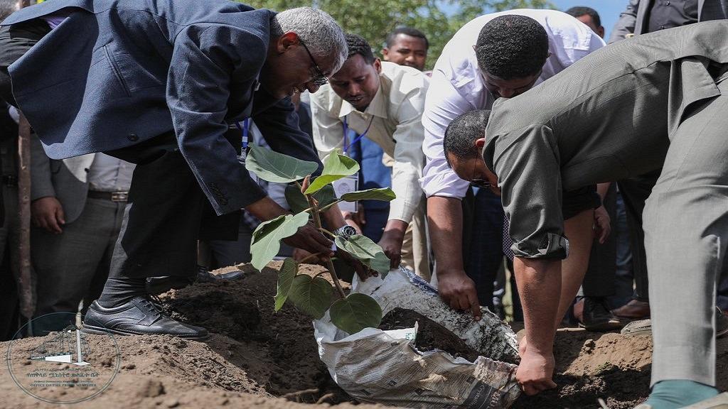 Ethiopia Has Most Likely Broken A World Record By Simply Planting 350 Million Tress All Across The Country In 12 Hours