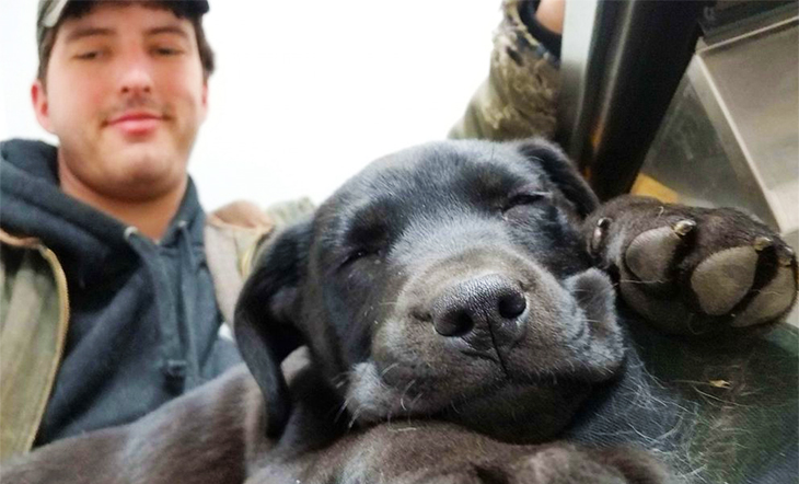 Deaf Guy Adopts A Deaf Rescue Puppy, They Communicate In Sign Language And Instantly Form An Unbreakable Bond