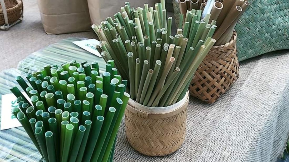 A Kickstarter Campaign Has Started Selling An Alternative To Plastic Straws That Decomposes In 15 Days