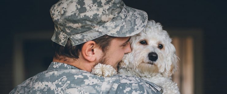 Great News Has Arrived In California! Veterans Can Adopt Furry Companions For Free