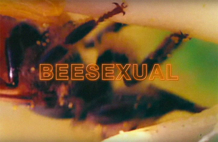 Pornhub Launched A New Adult Genre Called “BeeSexual” On Their Website In Order To Raise Money For The Preservation Of Bees