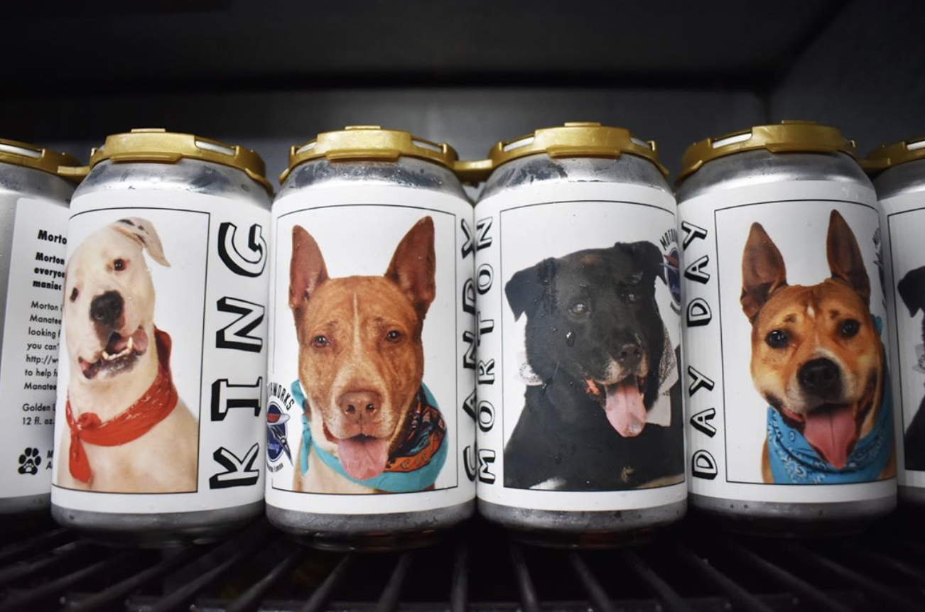 Florida Brewery Has The Best Idea Of Advertising Shelter Dogs For Adoption On Their Beer Cans