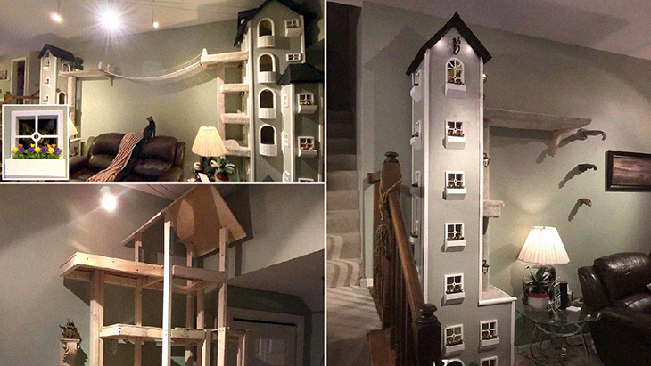 Cat Owner Builds An Impressive Two-Tower Home For His Pets That People Want To Buy This House For Their Own Kittens