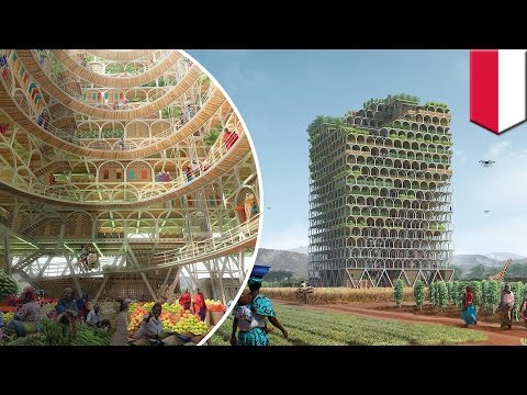 An Amazing Skyscraper That Is A Farm Which Can Feed A Whole Village