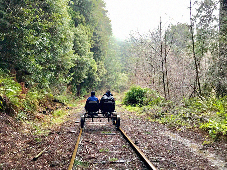 California’s Magnificent Redwood Forest Can Be Enjoyed Via Railbike, And It Makes For An Astonishing Trip