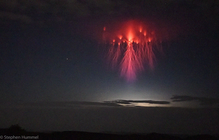 This Electrically Charged Red Jellyfish Lightning Majestically Appears Over Texas