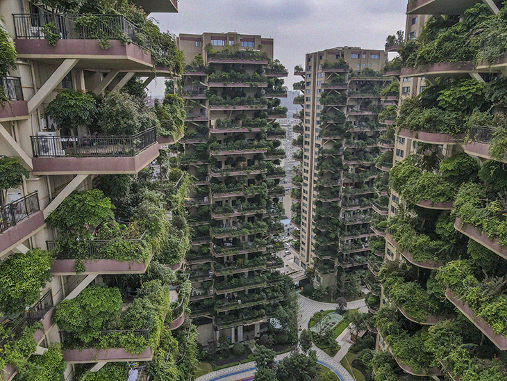 An Effort To Turn Apartment Buildings Into A “Vertical Forest” In China Goes Terribly Wrong With Jungle-Like Mosquito Infestation