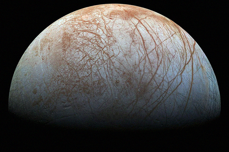 Are Aliens Real? A Space Scientist Seems To Think Jupiter’s Moon Has Octopus-Like Creatures On It