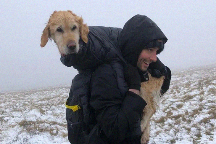 A Brave Rescue By Hikers As They Traverse Through Icy Trails To Rescue A Stranded Dog