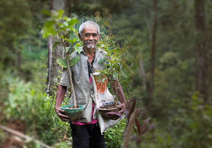One Indonesian Man Manages To Stop Drought And Bring Fortune To His Village By Planting 11,000 Trees