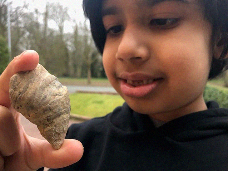 6-Year Old Digging In Garden Makes Astonishing Discovery Of Millions Of Years Old Fossil