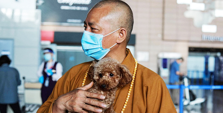 Dedicated Chinese Monk Rescues Thousands Of Dogs To Find Them From Homes All Over