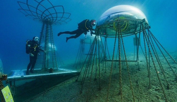 Finally – An Innovative Underwater Garden That Grows Vegetables In Perfect Temperature