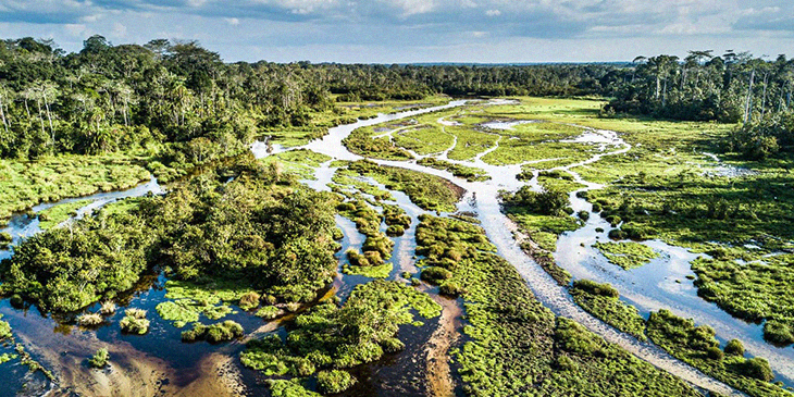 Charitable Couple Gives $100 Million To Protect And Preserve 57,000 Of The African Protected Areas