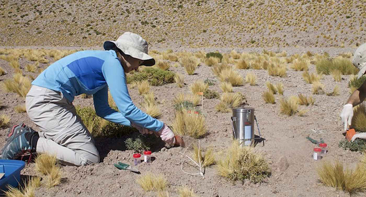 A Genetic Goldmine Found In Desert Plants Could Help Them Survive Global Warming