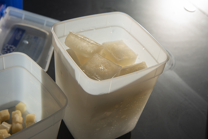 These Eco-Friendly ‘Jelly Ice Cubes’ That Don’t Melt Could Potentially Transform Cold Storage