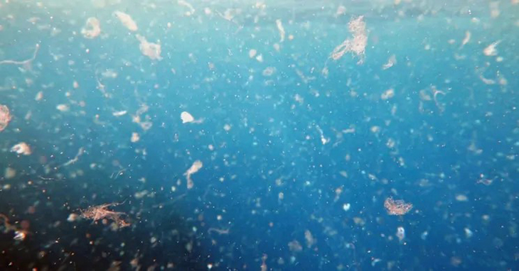 How Acoustic Waves Can Help Rid Oceans Of Microplastics For Good