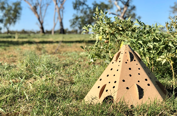 Biodegradable Cardboard Habitat Pods To Provide Shelter For Animals Displaced By Wildfires