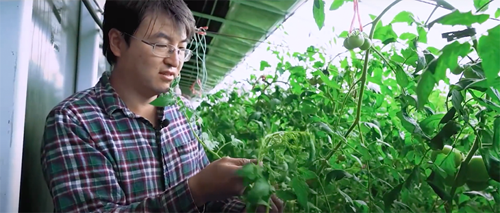 Chinese Farmer Creates Amazing Greenhouse Technology That Can Be Used Even In The Dead Of Winter
