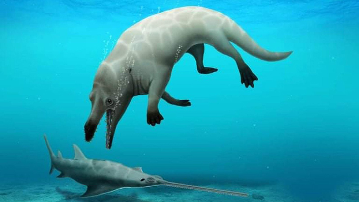 There Were Once Walking Whales, And They Actually Managed To Cross Entire Oceans