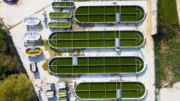 Project INDEPENDENT In Istanbul Is Turning Algae Into Fuels And Feedstocks