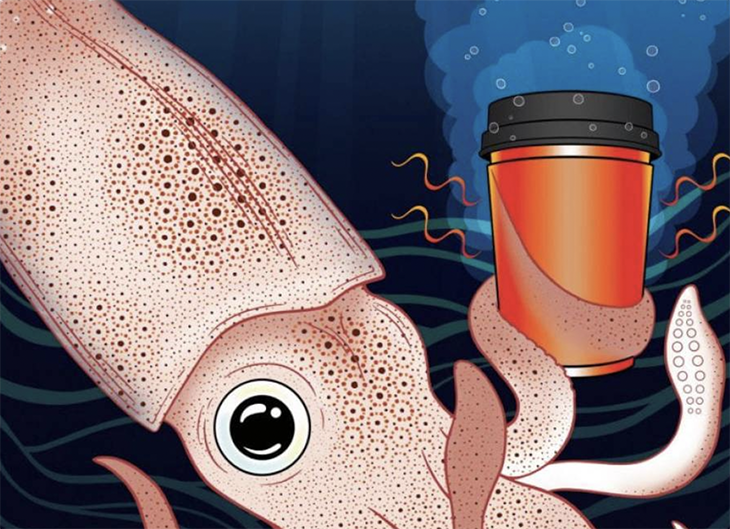 Squid Skin Inspired Researchers To Create A Cup Cozy That Can Keep Your Coffee Hot And Hands Cool