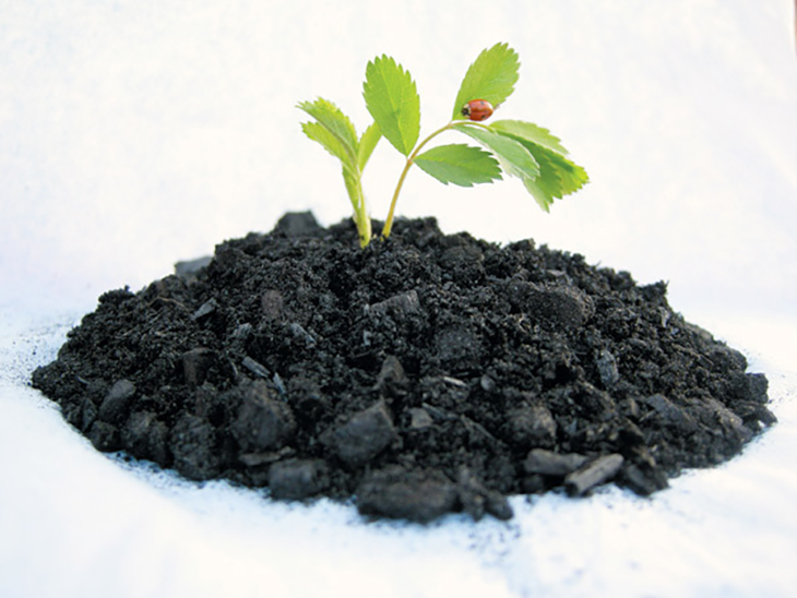 Biochar Fertilizer: A Zero-Carbon Fertilizer Meant To Address Greenhouse Warming