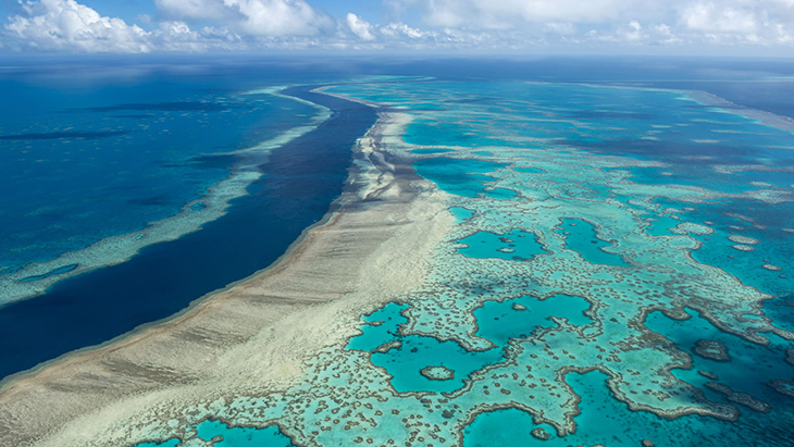 The Good News About The Great Barrier Reef: Certain Areas Show Highest Coral Cover In More Than 36 Years