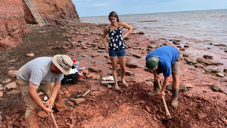 A Teacher In Canada Made An Incredible Discovery After Finding What Could Be 300-Million-Year-Old Fossil