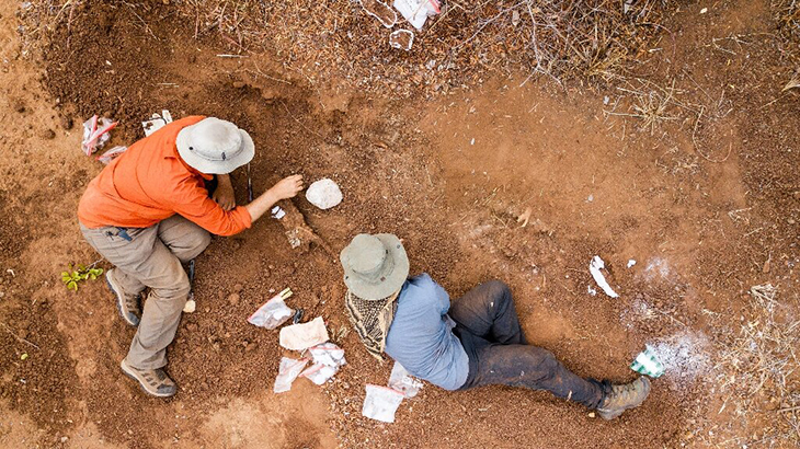 Paleontologists Unearth Oldest Ever Dinosaur Fossil, The Earliest One Known To Have Evolved